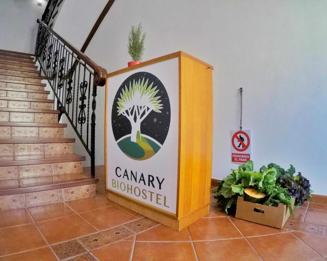 Canary Bio Hostel Tenerife Los Realejos Buitenkant foto